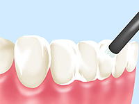 �t�b�f�h�z